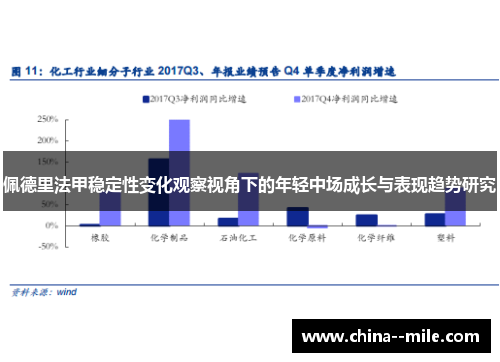 佩德里法甲稳定性变化观察视角下的年轻中场成长与表现趋势研究